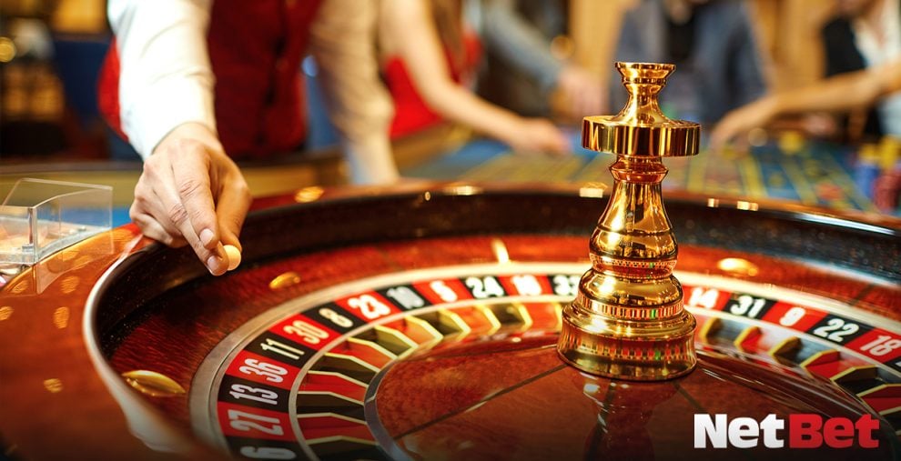 655bet|Top bingo online com cashback diário Aposte Seguro